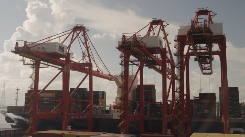 Red gantry cranes rise above stacked shipping containers at a port.